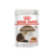 Royal Canin Cat Pouch Ageing +12