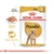 Royal Canin Caniche/Poodle Adulto - comprar online