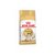 Royal Canin Siamese 38 X 1.5 Kg