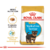 Royal Canin Yokshire Puppy