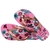 Chinelo Havaianas Kids Flores FC - Anyp Sport Stancia