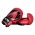 Luva de Boxe Acte Sports - comprar online