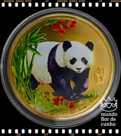 China Medalha Urso Panda Dourado # 2005 XFC Proof Colorida Folheada a Ouro ©
