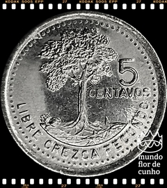 Km 276.5 Guatemala 5 Centavos 1995 XFC © - comprar online