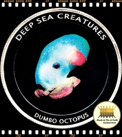 Moçambique Criaturas do Mar Profundo (Medalha) - Polvo Dumbo 2010 XFC Proof Prata Folheada Colorida ®