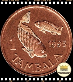 Km 33 Malawi (Maláui) 1 Tambala 1995 XFC # Peixe Tilápia ®