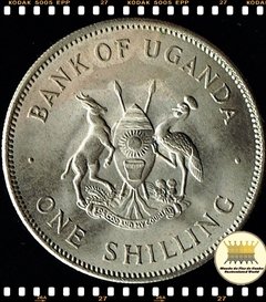 Km 5 Uganda 1 Shilling 1966 XFC ® - comprar online