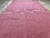 Alfombra Pampa - rosa - comprar online