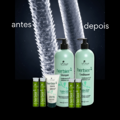 Herbier Estabilização Detox Quelante 1L com 4 Ampolas Herbier - comprar online