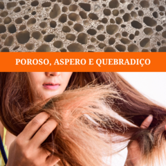 Transformação Incrível: Como Restaurar Cabelos Danificados com Complexo Herbal | Kit Profissional - Le Cliqué Express