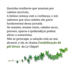 Transformação Incrível: Como Restaurar Cabelos Danificados com Complexo Herbal | Kit Profissional - comprar online