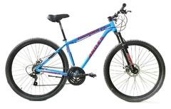 Bicicleta Mtb Andes Thunder Rodado 29er Disc Mec 24 Vel