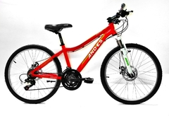 Bicicleta Mtb Andes Rodado 24 21 Velocidades Shimano