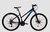 Bicicleta R29 Dama - SLP Venecia 2020 Disc Mec 21 Vel - T único (16)