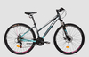 Bicicleta R29 Dama - SLP Venecia 2020 Disc Mec 21 Vel - T único (16) - comprar online