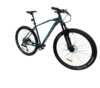 Bicicleta Zion Ovanta Rodado 29 1X10 Vel LTWO Freno Hidraulico - comprar online