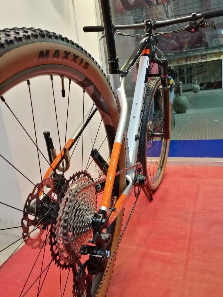 Bicicleta MTB XCR carbono Wilier Triestina 110x rígida 1x12 rod29