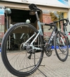 Bicicleta Ruta Sars Capped Disco 2023 - 2x9 vel AWA en internet