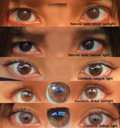 Siesta Bliss Cafe Lentes de contacto Vanity Shop