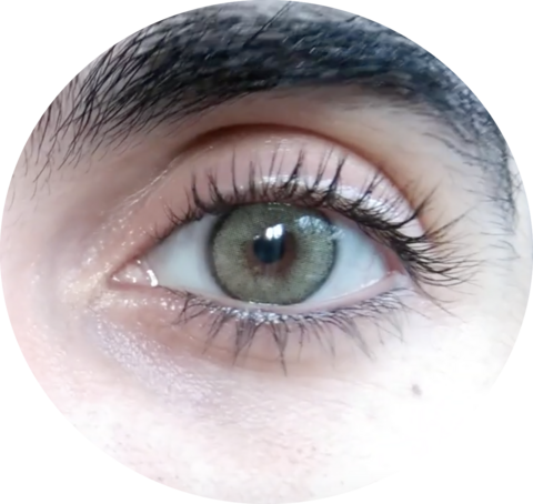 Freshlady - Mel Natural Colors HC8 Lentes de contacto