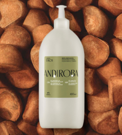 Repuesto pulpa hidratante corporal Andiroba Ekos Natura 400 ml - comprar online