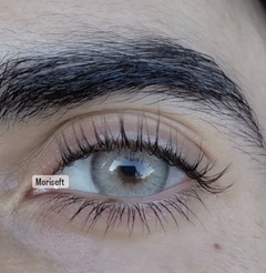 URBAN LAYER Gogh N Brown Lentes de Contacto