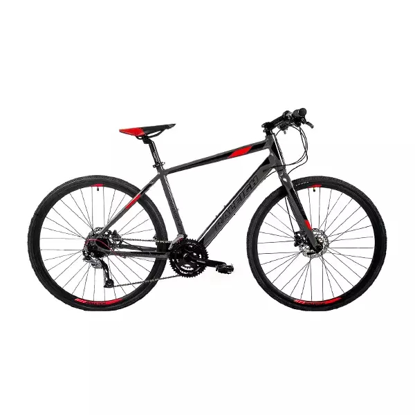 Bicicleta Raleigh Urban 1.1 700