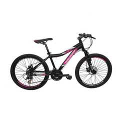 Raleigh Scout MTB 24 Dama en internet