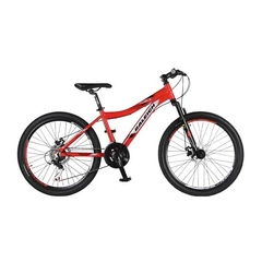 Raleigh Scout MTB - Rodado 24 en internet