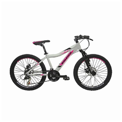Raleigh Scout MTB 24 Dama