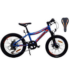 Raleigh Rowdy MTB - Rodado 20 en internet