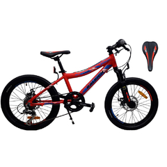 Raleigh Rowdy MTB - Rodado 20 - comprar online