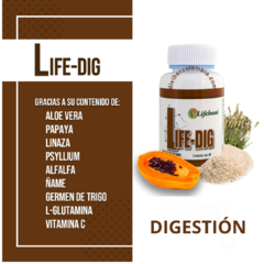 LIFE-DIG - DiviHerColombia.Oficial