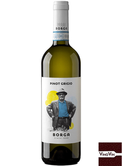 Vinho Pinot Grigio Venezia Doc Cantine Borga 2019 - 750ml