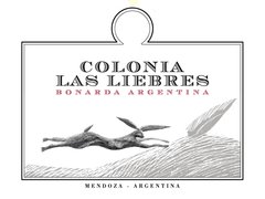 Vinho Colonia Las Liebres Bonarda 2013 - 750ml - comprar online
