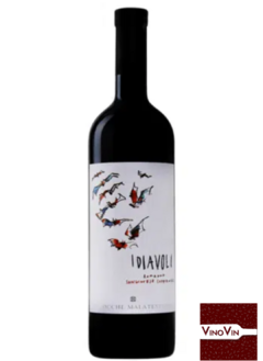 Vinho I Diavoli Romagna DOC Sangiovese Superiore 2020 – 750 ml