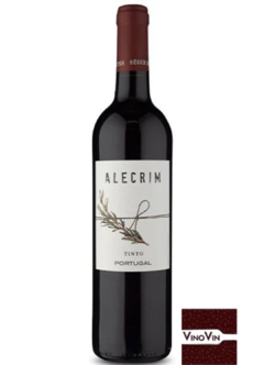Vinho Alecrim Tinto – 750 ml - comprar online