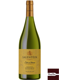 Vinho Salentein Reserva Corte de Blancas 2021 – 750 ml