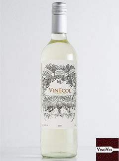 Vinho Torrontés Vinecol Riojano 2019 – 750 ml