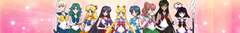 Banner de la categoría SailorMoon