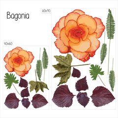 Looma Vinilos Fiore Begonia