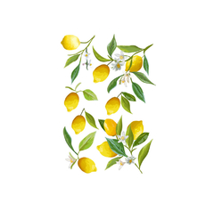 Looma Vinilos Flor de Limón