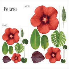 Looma Vinilos Decorativos Petunia