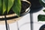 Maceta Draco - base  negro mate, maceta dorado, 40 cm - Diamantina & La Perla en internet