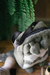 Bolso Totoro Wabi Sabi en internet