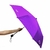Paraguas corto en internet