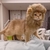Melena de león para gatos - comprar online