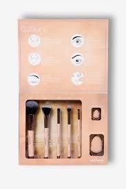 Kit de brochas profesionales profusion