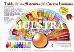 TR 011 Tabla de los Sistemas del Cuerpo Humano - comprar online