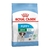 ROYAL CANIN MINI JUNIOR